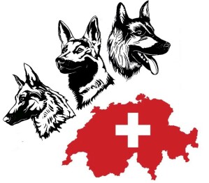 Schweizer Schäferhunde Zuchtverein