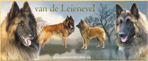 van de Leienevel van de Leienevel